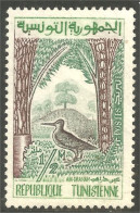 XW01-2672 Tunisie Oiseau Vogel Bird Uccello Sans Gomme - Other & Unclassified