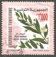 XW01-2618 Tunisie Myrte Myrtle Fleur Flower Bluime Plante Plant Pflanze - Other & Unclassified