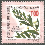 XW01-2617 Tunisie Myrte Myrtle Fleur Flower Bluime Plante Plant Pflanze - Tunesien (1956-...)