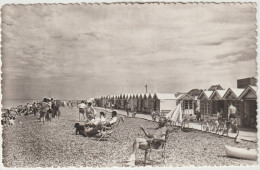 Dav : Somme : CAYEUX  Sur  Mer :  Les  Planches - Cayeux Sur Mer