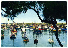 ÎLE D'OLÉRON - LA COTINIÈRE - Le Port - Ile D'Oléron