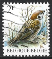 Belgium 1989. Scott #1218 (U) Bird, Moineau Friquet - Used Stamps