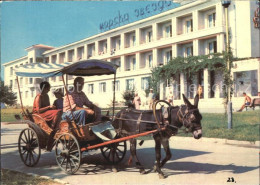 72463365 Varna Warna Goldener Sand Hotel Morska Svesda Eselskutsche Burgas - Bulgarije