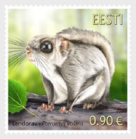 2022 1095 Estonia Fauna - The Siberian Flying Squirrel MNH - Estonia