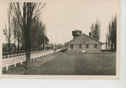 BRÉTIGNY SUR ORGE - Centre D'Instruction Et D'Organisation De L'Intendance - L'Entrée Et L'Allée Centrale (1955) - Bretigny Sur Orge