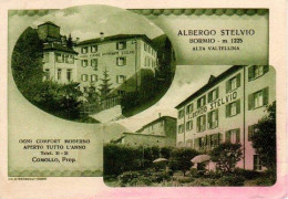 Bormio (Sondrio) - Albergo Stelvio Proprietario Comollo, Non Vasco Faglia - Sondrio