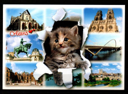 FRANCE    -    Orléans.  Les Merveilles Du Val De Loire. Chat, Cathédrale, Pont ... - Orleans