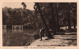 LYON ( 69 ) - Un Coin Du Parc De La Tête D'Or - Autres & Non Classés