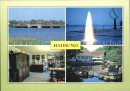 72460857 Hadsund Teilansicht Fontaene Bauernstube Garten Hadsund - Denemarken