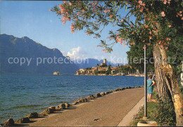 72460462 Malcesine Lago Di Garda Seepromenade Malcesine - Autres & Non Classés