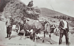 AUVERGNE - Retour Des Moissons - Belle Animation Avec Attelage Boeufs - - Wagengespanne