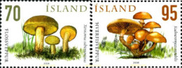 193584 MNH ISLANDIA 2006 SETAS - Verzamelingen & Reeksen