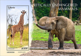 Liberia 2023 Critically Endangered Mammals. Giraffes. (303b1) OFFICIAL ISSUE - Giraffe