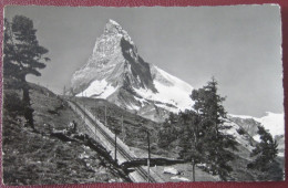 Zermatt (VS) - Riffelalp Matterhorn - Zermatt