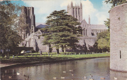 Postcard - Wells Cathedral, From The Palace Moat  - VG - Ohne Zuordnung