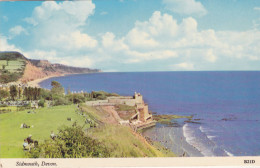 Postcard - Sidmouth, Devon  - Card No. B21D - VG - Sin Clasificación