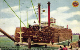 Steamboat "Natchez" Record Cargo Of Cotton Landing At New Orleans - Steamers