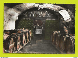 18 SANCERRE N°10 Une De Ses Bonnes Caves Tonneaux Vin Lynx Jaune VOIR DOS - Sancerre
