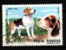 ROUMANIE     -     CHIEN    /    BEAGLE     -    Oblitéré. - Cani