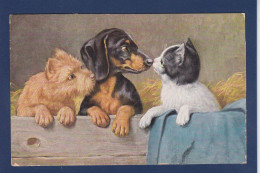 CPA Chien Teckel Dackel Dachshund écrite Chat Cat - Cani