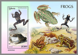 LIBERIA 2023 MNH Frogs Frösche S/S II – IMPERFORATED – DHQ2421 - Frogs