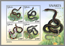 LIBERIA 2023 MNH Snakes Schlangen M/S – IMPERFORATED – DHQ2421 - Serpents