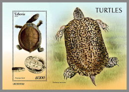 LIBERIA 2023 MNH Turtles Schildkröten S/S II – IMPERFORATED – DHQ2421 - Tortues