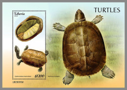 LIBERIA 2023 MNH Turtles Schildkröten S/S I – IMPERFORATED – DHQ2421 - Tortues