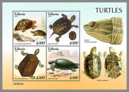 LIBERIA 2023 MNH Turtles Schildkröten M/S – IMPERFORATED – DHQ2421 - Tartarughe