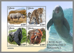 LIBERIA 2023 MNH Endangered Mammals Bedrohte Säugetiere M/S – IMPERFORATED – DHQ2421 - Andere & Zonder Classificatie
