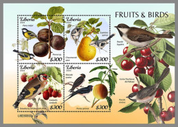 LIBERIA 2023 MNH Fruits & Birds Früchte & Vögel M/S – IMPERFORATED – DHQ2421 - Other & Unclassified