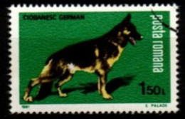 ROUMANIE     -     CHIEN    /     BERGER  ALLEMAND       -    Oblitéré. - Hunde