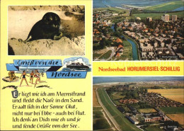 72456385 Horumersiel Schillig Seehund Wangerland - Wangerland