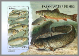 LIBERIA 2023 MNH Fresh Water Fishes Frischwasserfische S/S I – OFFICIAL ISSUE – DHQ2421 - Fishes