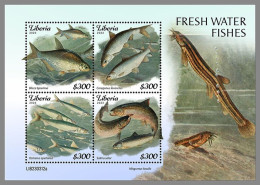 LIBERIA 2023 MNH Fresh Water Fishes Frischwasserfische M/S – OFFICIAL ISSUE – DHQ2421 - Fishes