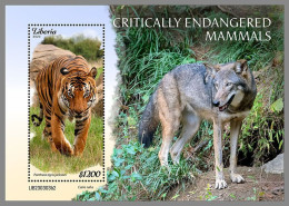 LIBERIA 2023 MNH Endangered Mammals Tiger S/S II – OFFICIAL ISSUE – DHQ2421 - Félins