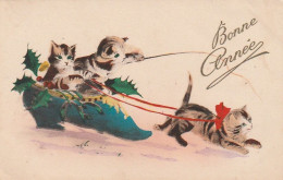 ***  CHATS *** CHATS CHATONS  Par Illustrateur  Série 687 -- Bonne Année Chriot Soulier Houx TTB écrite - Cats