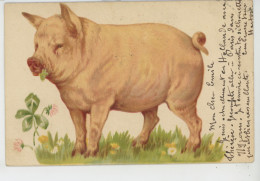 COCHONS - PIG - Jolie Carte Fantaisie Cocon Et Trèfle Porte Bonheur - Cerdos