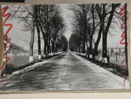 Italia Foto Via Salaria. Viale D'ingresso A Rieti. 170x117 Mm - Europa