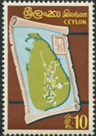 301902 MNH SRI LANKA 1969 CEILAN - Sri Lanka (Ceilán) (1948-...)