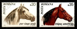 ROUMANIE       -     CHEVAUX         -    Oblitérés. - Cavalli