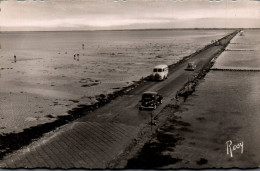 N°3371 W -cpsm Le Gois à Marée Descendante- île De Noirmoutier- - Ile De Noirmoutier