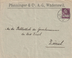 Suisse Entier Postal Privé Wädenswil 1920 - Postwaardestukken
