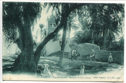 ALGÉRIE * CPA Ecrite * Paysage Du Sud Mosquée De Sidi Lhâssen ( Animée ) Collection Régence E.L Editeur à Alger - Otros & Sin Clasificación