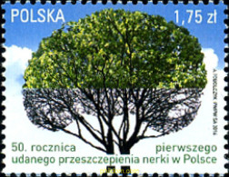 354975 MNH POLONIA 2016 50 ANIVERSARIO DEL PRIMER TRANSPLANTE DE RIÑON EN POLONIA - Neufs