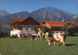 72451780 Pinswang Tirol Gasthof Schlurenhof Kuehe Alpen Pinswang - Other & Unclassified