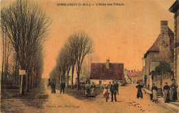 CPA Semblançay-L'allée Des Tilleuls    L2935 - Semblançay