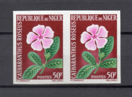 NIGER  N° 142   NON DENTELE EN PAIRE   NEUF SANS CHARNIERE  COTE ? €    FLEUR FLORE - Niger (1960-...)