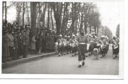 REGIMENT TIRAILLEURS AFRICAINS  -  Défilé Avec Sa Mascotte - Regiments