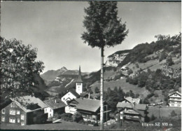 10563005 Illgau Illgau  X 1965 Illgau - Sonstige & Ohne Zuordnung